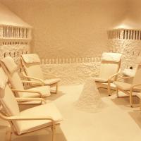 Соляная пещера (галокамера) «СУПЕР ПРЕСТИЖ» (на базе аппарата СОМ-02)