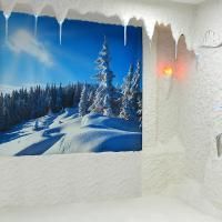 Соляная пещера (галокамера) «ПРЕМИУМ» (на базе аппарата СОМ-04)