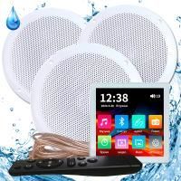 Комплект влагостойкой акустики SteamWater БАНЯ ПО-БЕЛОМУ 3