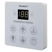 Пульт управления для Steamtec TOLO KEY (штатный, сухой монтаж, белый)