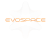 ЕВОСПЕЙС (EVOSPACE)